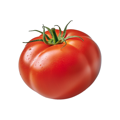 tomato